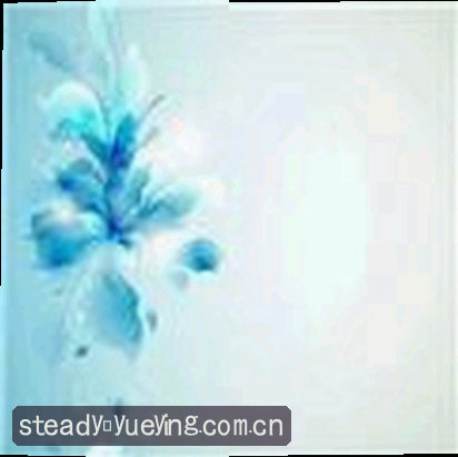 吴迪