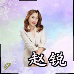赵锐